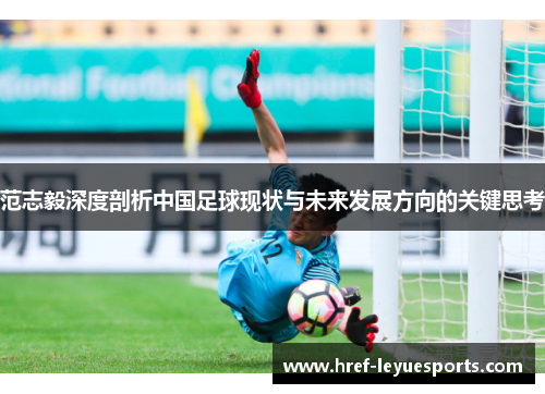 范志毅深度剖析中国足球现状与未来发展方向的关键思考