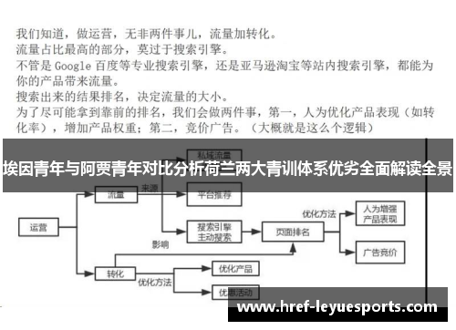 埃因青年与阿贾青年对比分析荷兰两大青训体系优劣全面解读全景