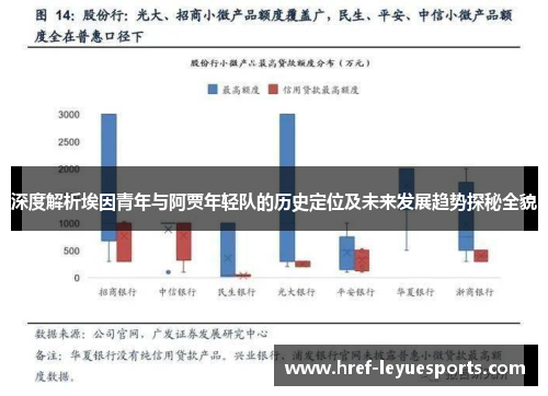 深度解析埃因青年与阿贾年轻队的历史定位及未来发展趋势探秘全貌