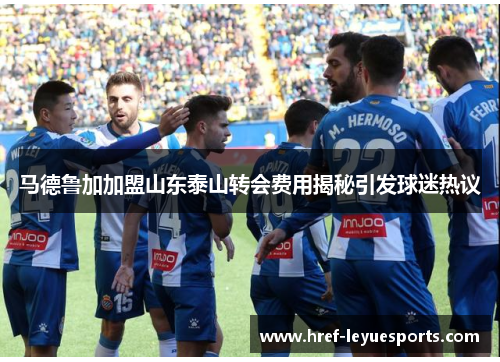 马德鲁加加盟山东泰山转会费用揭秘引发球迷热议