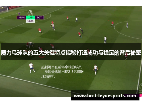 魔力鸟球队的五大关键特点揭秘打造成功与稳定的背后秘密