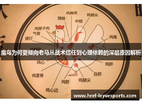 魔鸟为何更倾向老马从战术信任到心理依赖的深层原因解析