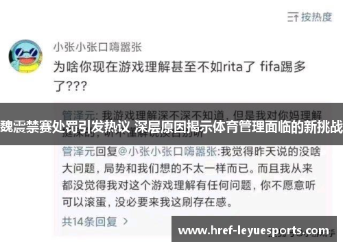 魏震禁赛处罚引发热议 深层原因揭示体育管理面临的新挑战