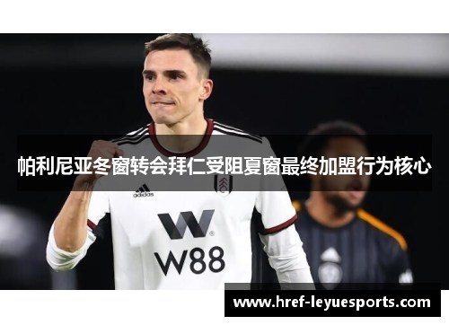 帕利尼亚冬窗转会拜仁受阻夏窗最终加盟行为核心 帕利尼亚冬窗转会拜仁受阻夏窗最终加盟行为核心